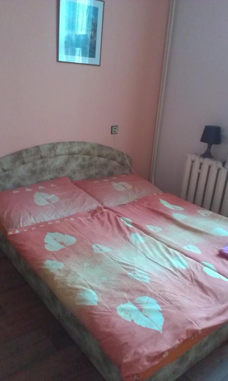 Pension Doctor Dvůr Králové nad Labem Ruang foto